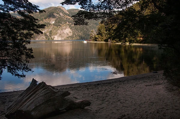 Lectura del Río: Cómo Leer el Agua como un Baqueano