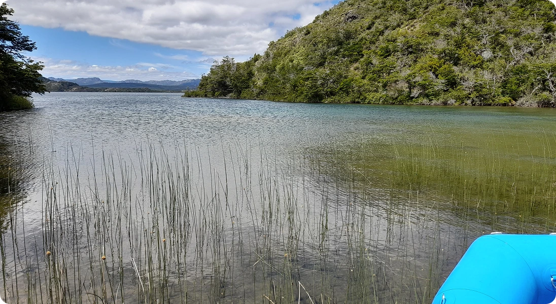 Lago patagónico entre bosque nativo y montañas