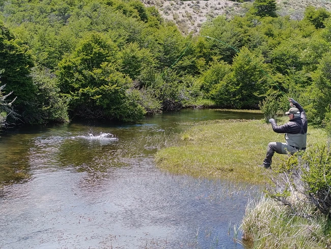 Pescador con mosca en un río de Río Pico